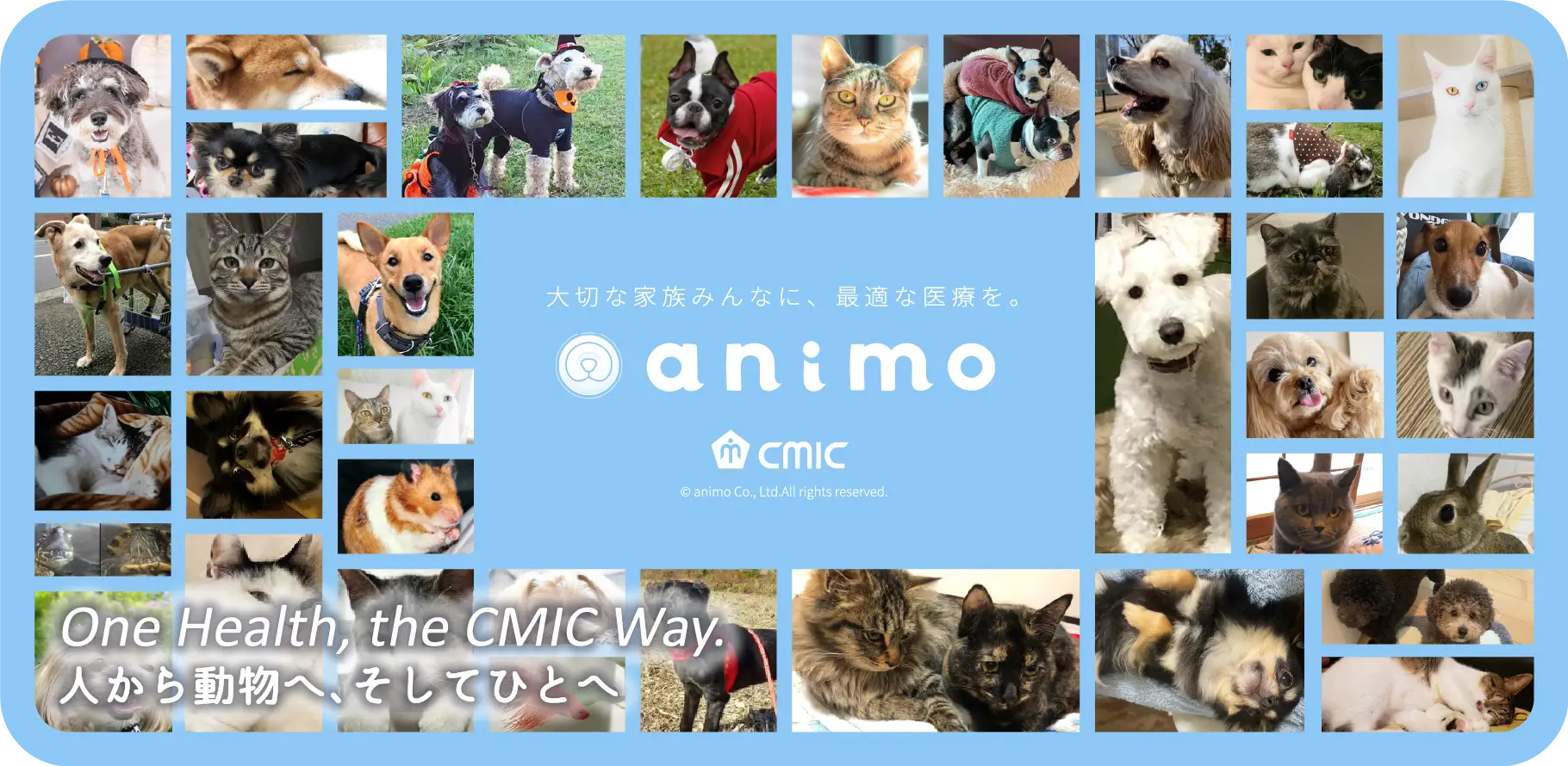 大切な家族みんなに、最適な医療を。 animo