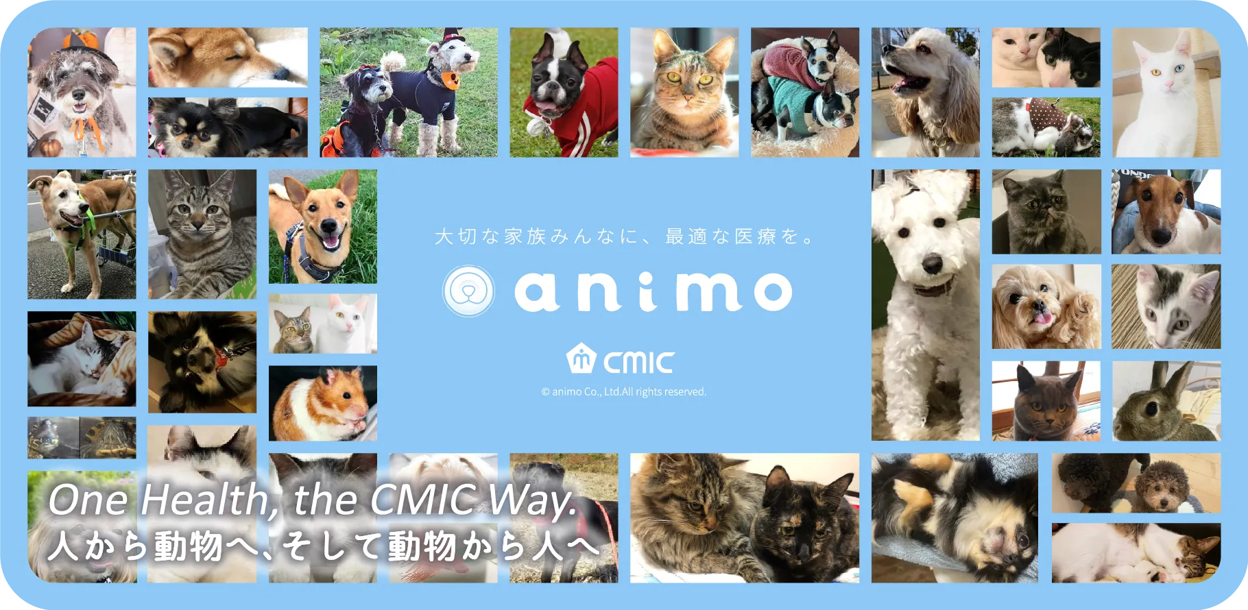 大切な家族みんなに、最適な医療を。 animo
