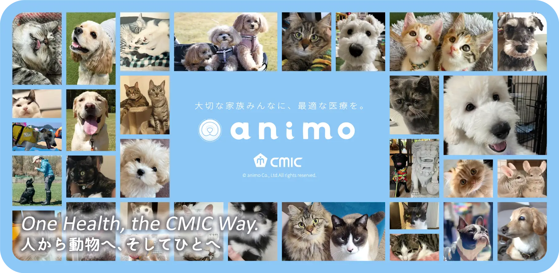 大切な家族みんなに、最適な医療を。 animo