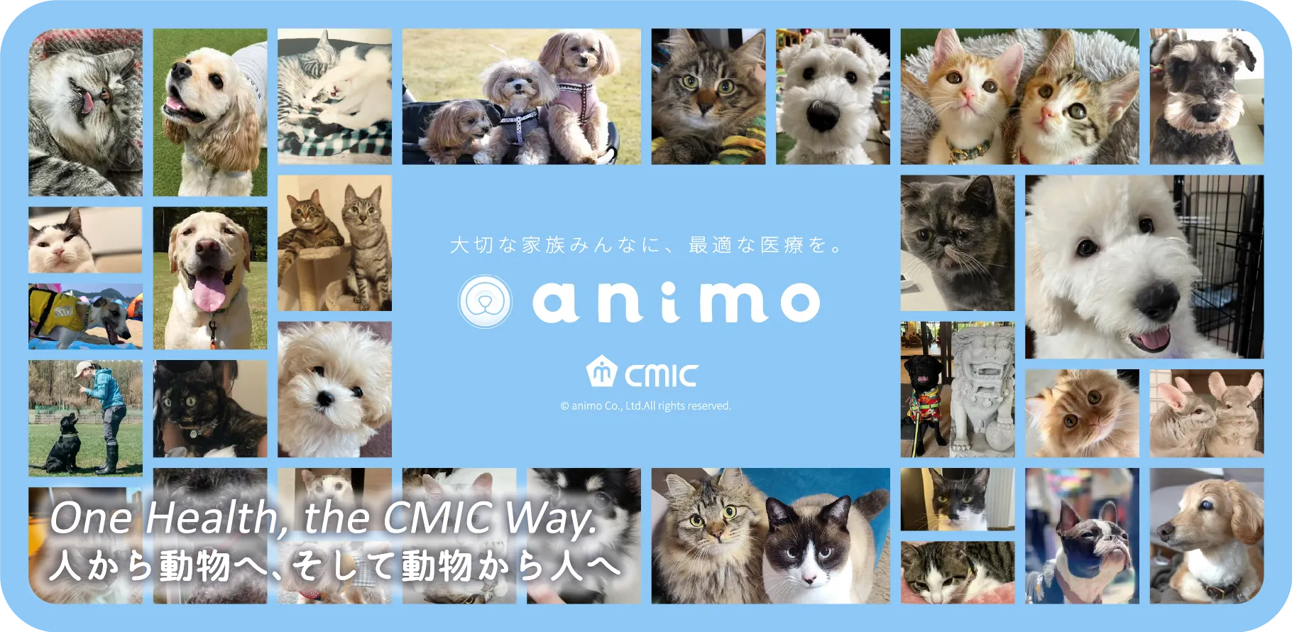 大切な家族みんなに、最適な医療を。 animo