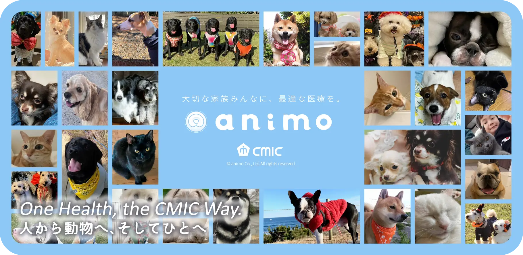 大切な家族みんなに、最適な医療を。 animo