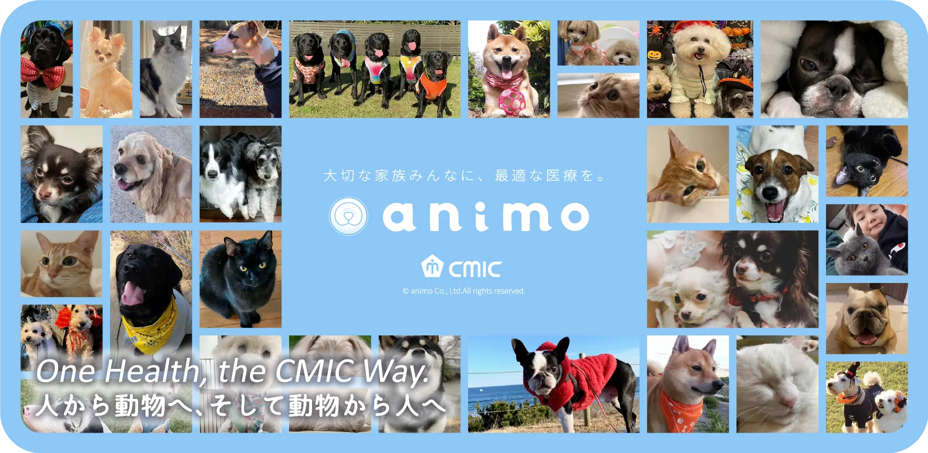 大切な家族みんなに、最適な医療を。 animo